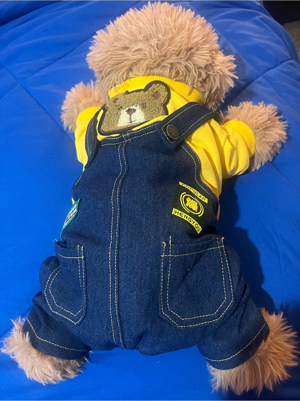 Dog  Overall with Yellow sweater - Picture 3 of 7